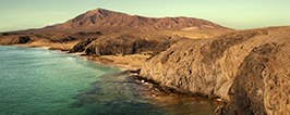 Canaries - Lanzarote